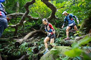 BIB: 
                            <button type="button" onclick="openModal(19407841)" class="btn btn-primary btn-sm float-right btn-popup" data-toggle="modal" data-target=".modal-high-quality">
                        <i class="fas fa-shopping-cart"></i> Add to Cart
                    </button>
                                            <button type="button" onclick="isThisMe(19407841, true)" class="btn btn-success btn-sm float-right btn-popup btn-isme hidden" data-toggle="tooltip" data-placement="bottom" title="นี่คือรูปของคุณใช่ไหม คลิกที่นี่เพื่อเอาเข้าอัลบั้ม">
                        <i class="fas fa-plus"></i> Add to album
                    </button>
                    <button type="button" onclick="isThisMe(19407841, false)" class="btn btn-warning btn-sm float-right btn-popup btn-isnotme hidden">
                        <i class="fas fa-ban"></i> Remove from album
                    </button>